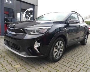 Kia Kia Stonic 100 AT -App Connect-SHZ-Kamera-Klima Gebrauchtwagen