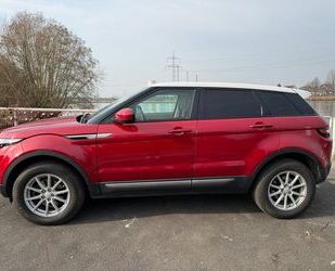 Land Rover Land Rover Range Rover Evoque 2.2 SD4 White Dynami Gebrauchtwagen