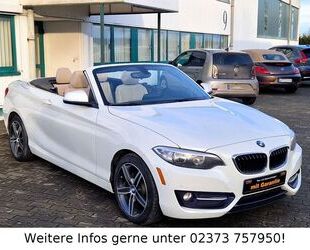 BMW BMW 230i Cabrio Autom. Leder Kamera Sitzheizung Gebrauchtwagen