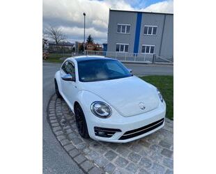 VW Volkswagen Beetle 1.2TSI BMT ALLSTAR Pano 18Z Gebrauchtwagen