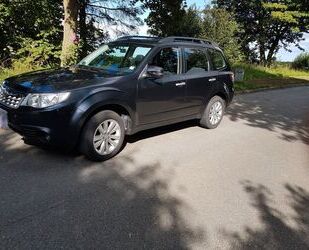 Subaru Subaru Forester 2.0X Comfort Automatik mit LPG PRI Gebrauchtwagen