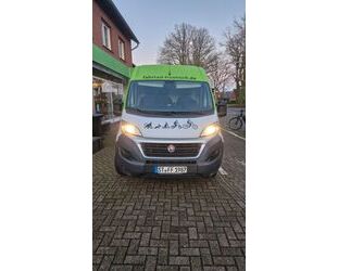 Fiat Fiat Ducato L2H2 Gebrauchtwagen