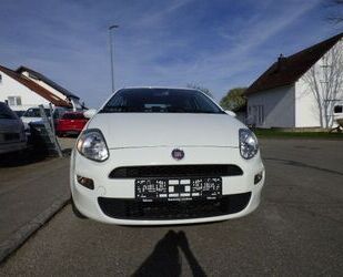 Fiat Fiat Punto 1.2 8V MORE 1-Hand Klima Navi Gebrauchtwagen