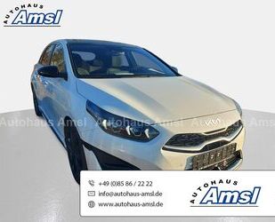 Kia Kia Ceed 1.5 T-GDI GT-Line*8fach*Pano*Kam*Lkrdhzg* Gebrauchtwagen