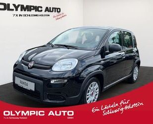 Fiat Fiat Panda 1.0 Hybrid Firefly KLIMAANLAGE CITY CRU Gebrauchtwagen