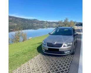 Skoda Skoda Octavia 1.6 TDI Greenline Combi Greenline Gebrauchtwagen