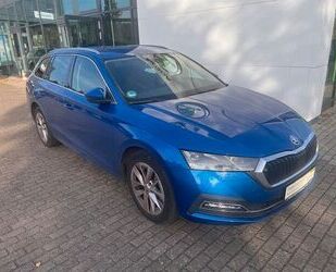 Skoda Skoda Octavia Combi First Edition Automatik Gebrauchtwagen