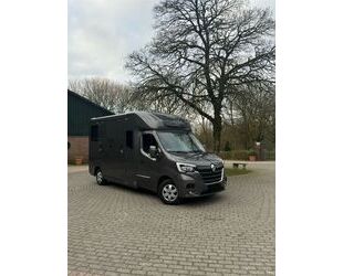 Renault Renault Master STX Pferdetransporter 5-Sitzer Gebrauchtwagen