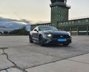 Ford Ford Mustang 2.3 EcoBoost - Gebrauchtwagen