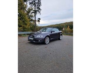 Audi Audi A3 1.6 TDI S line Cabriolet S line Gebrauchtwagen