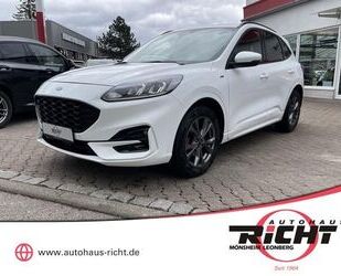 Ford Ford Kuga 1.5 ST-Line Navi Kamera SHZ Beh. Front I Gebrauchtwagen