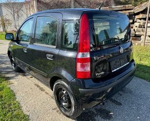 Fiat Fiat Panda KLIMA Euro5 66.000km Gebrauchtwagen