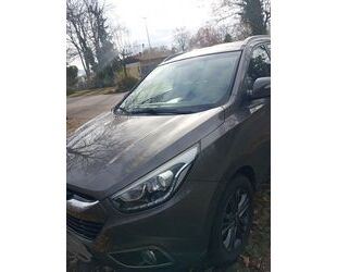 Hyundai Hyundai ix35 1.6 GDI FIFA World Cup EDITION ab 10. Gebrauchtwagen