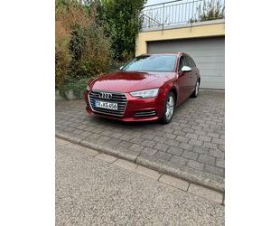 Audi Audi A4 3.0 TDI design quattro LED-MATRIX Standhzg Gebrauchtwagen