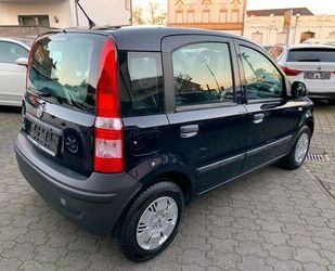 Fiat Fiat Panda 1.1 8V Active aus 1.Hand erst 43000 km Gebrauchtwagen