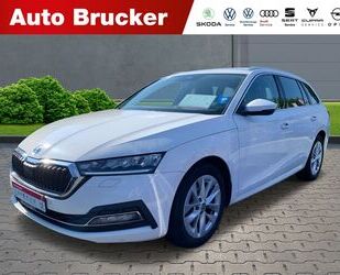 Skoda Skoda Octavia Combi First Edition 2.0 TDI+Navi+Alu Gebrauchtwagen