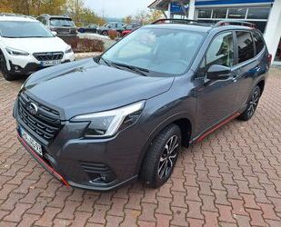 Subaru Subaru Forester 2.0ie EDIT. EXCL CROSS Lineartroni Gebrauchtwagen