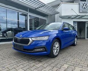 Skoda Skoda Octavia Combi 2.0TDI 7-Gang FIRST EDITION*ST Gebrauchtwagen