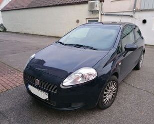 Fiat Fiat Punto 1.2 8V Active, Klimaanlage, 8-Fach bere Gebrauchtwagen