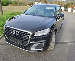 Audi Audi Q2 1.6 TDI - Gebrauchtwagen