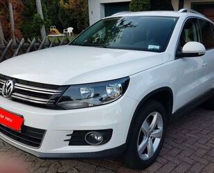 VW Volkswagen Tiguan 1.4 TSI 90kW BlueMot Tech Sport Gebrauchtwagen