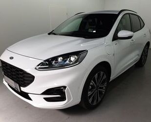 Ford Ford Kuga ST-Line X 2.5 PHEV ACC/AHK schwenkbar Gebrauchtwagen