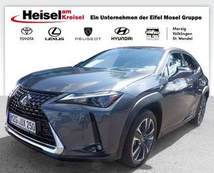 Lexus Lexus UX 250h Executive Line/Premium/Head-Up/Schie Gebrauchtwagen