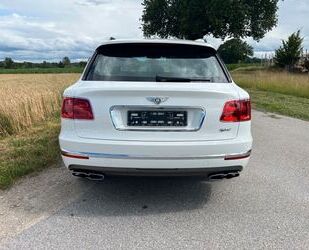 Bentley Bentley Bentayga 3.0 Hybrid AWD Gebrauchtwagen