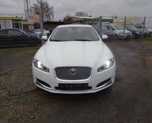 Jaguar Jaguar XF 3.0 L V6 Diesel - Gebrauchtwagen