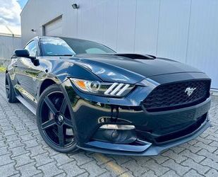 Ford Ford Mustang 5.0 V8 GT Performance Brembo Navi Sch Gebrauchtwagen