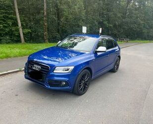 Audi Audi SQ5 3.0 TDI comp. tiptr. quattro - Gebrauchtwagen