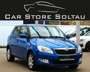 Skoda Skoda Fabia 1.2 TSI Ambition Klima Alufelgen Allwe Gebrauchtwagen