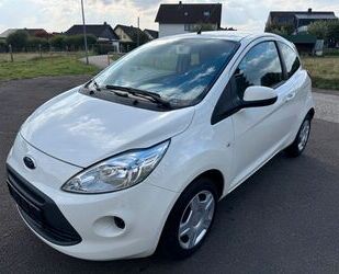 Ford Ford Ka Champions Edition 2.Hand Gebrauchtwagen