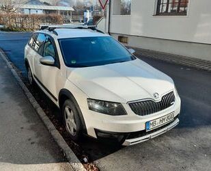 Skoda Skoda Octavia 2.0 TDI DSG 4x4 Scout Combi Scout Gebrauchtwagen