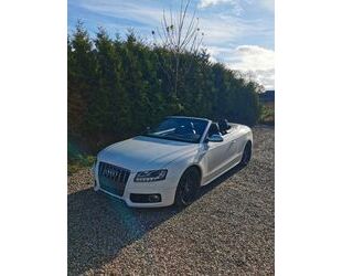 Audi Audi S5 3.0 TFSI S tronic quattro Cabriolet - Gebrauchtwagen