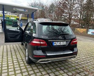 Mercedes-Benz Mercedes-Benz ML 250 BlueTEC 4MATIC - Gebrauchtwagen