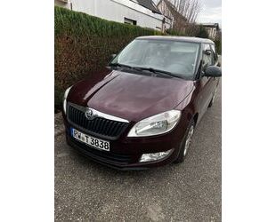 Skoda Skoda Fabia 1.2l 44kW Active Active Gebrauchtwagen