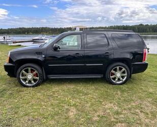 Cadillac Cadillac Escalade 6.2 V8 Platinum Gebrauchtwagen