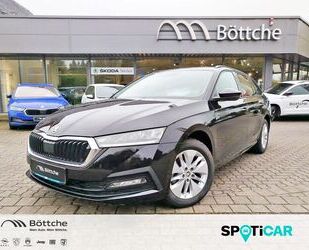 Skoda Skoda Octavia Ambition 2.0 TDI DSG LED FRONT-ASSIS Gebrauchtwagen