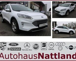 Ford Ford Kuga Titanium X Autom. RFK B&O LED Navi Gebrauchtwagen