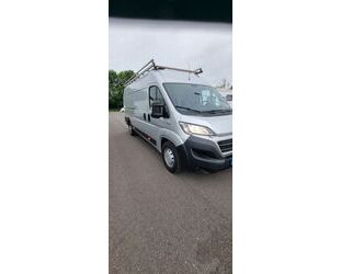 Fiat Fiat Ducato Gebrauchtwagen