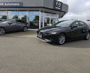 Mazda Mazda 3 S SKYACTIV-G 2.0 M Hybrid 6AG AL-SELECTION Gebrauchtwagen