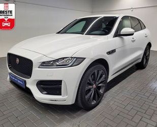 Jaguar F-Pace Gebrauchtwagen