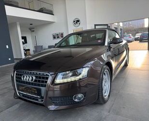 Audi Audi A5 Cabriolet 2.0 TFSI LEDER Navi Gebrauchtwagen