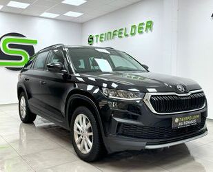 Skoda Skoda Kodiaq 2.0 TDI Ambition / ACC / DIG.TACHO / Gebrauchtwagen