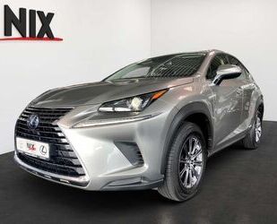 Lexus Lexus NX 300h 2.5 Hybrid Amazing Edition SHZ LED Gebrauchtwagen