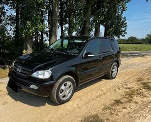 Mercedes-Benz Mercedes-Benz ML 350 -W163 Gebrauchtwagen