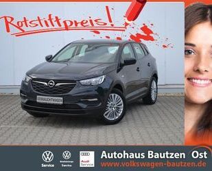 Opel Opel Grandland X 1.5 D Edition AHK/18-ZOLL/GRA/PDC Gebrauchtwagen