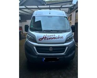 Fiat Fiat Ducato Hochdach Gebrauchtwagen