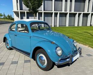 VW Volkswagen VW Käfer 1200 Export Faltdach Dickholme Gebrauchtwagen